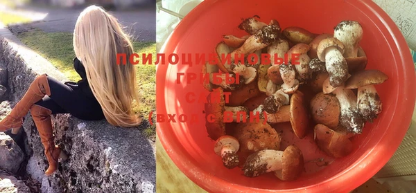 spice Кулебаки